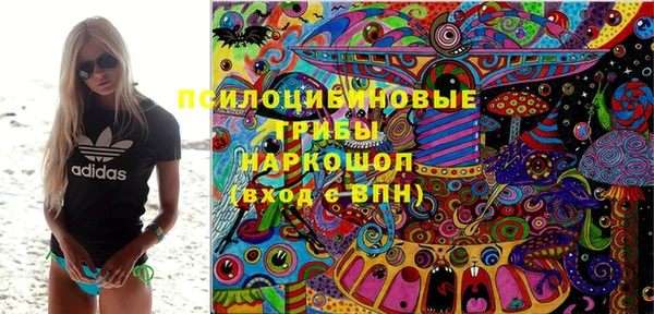 индика Ростов