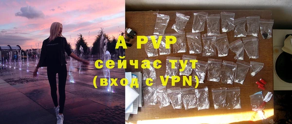 стафф Аркадак